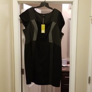 New Lane Bryant 6th and Lane Dress